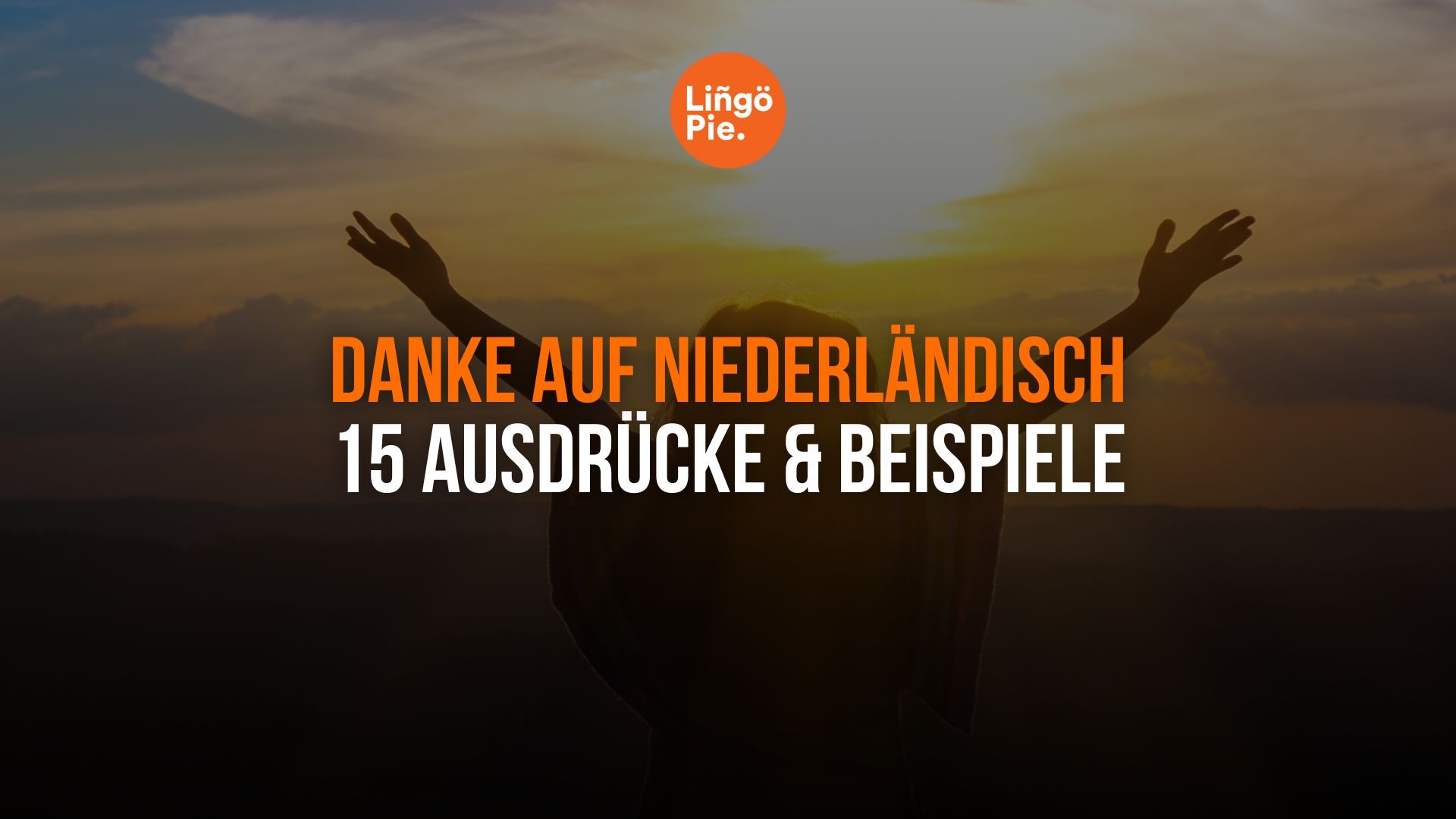 Danke auf Niederländisch sagen: 15 Ausdrücke & Beispiele