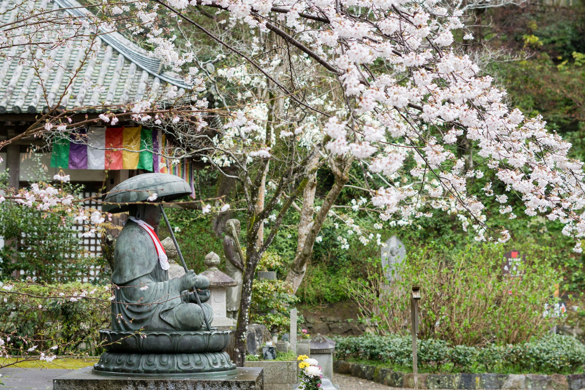 Japanische Kirschblüte: Die 10 besten japanischen Wörter für den Frühling