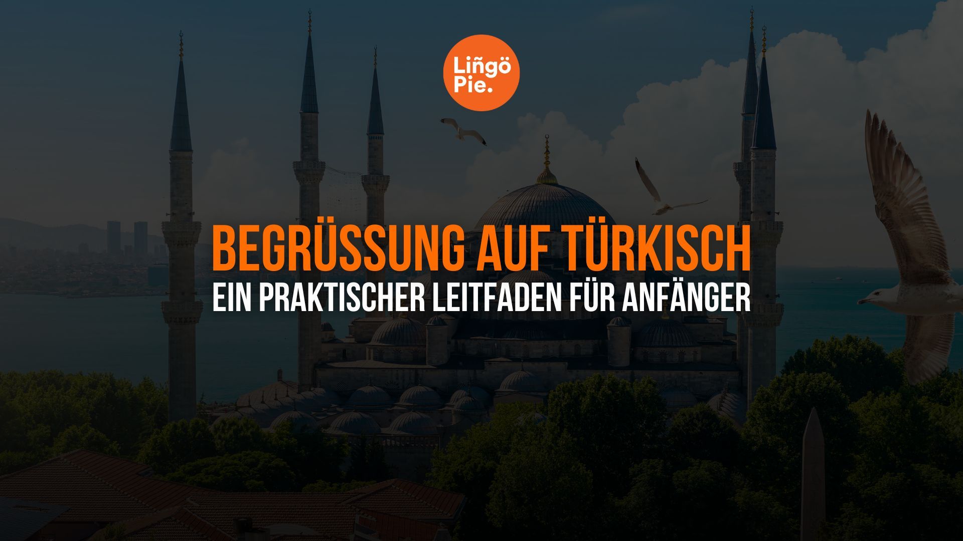 Begrüßung auf Türkisch: Ein praktischer Leitfaden für Anfänger [2025]