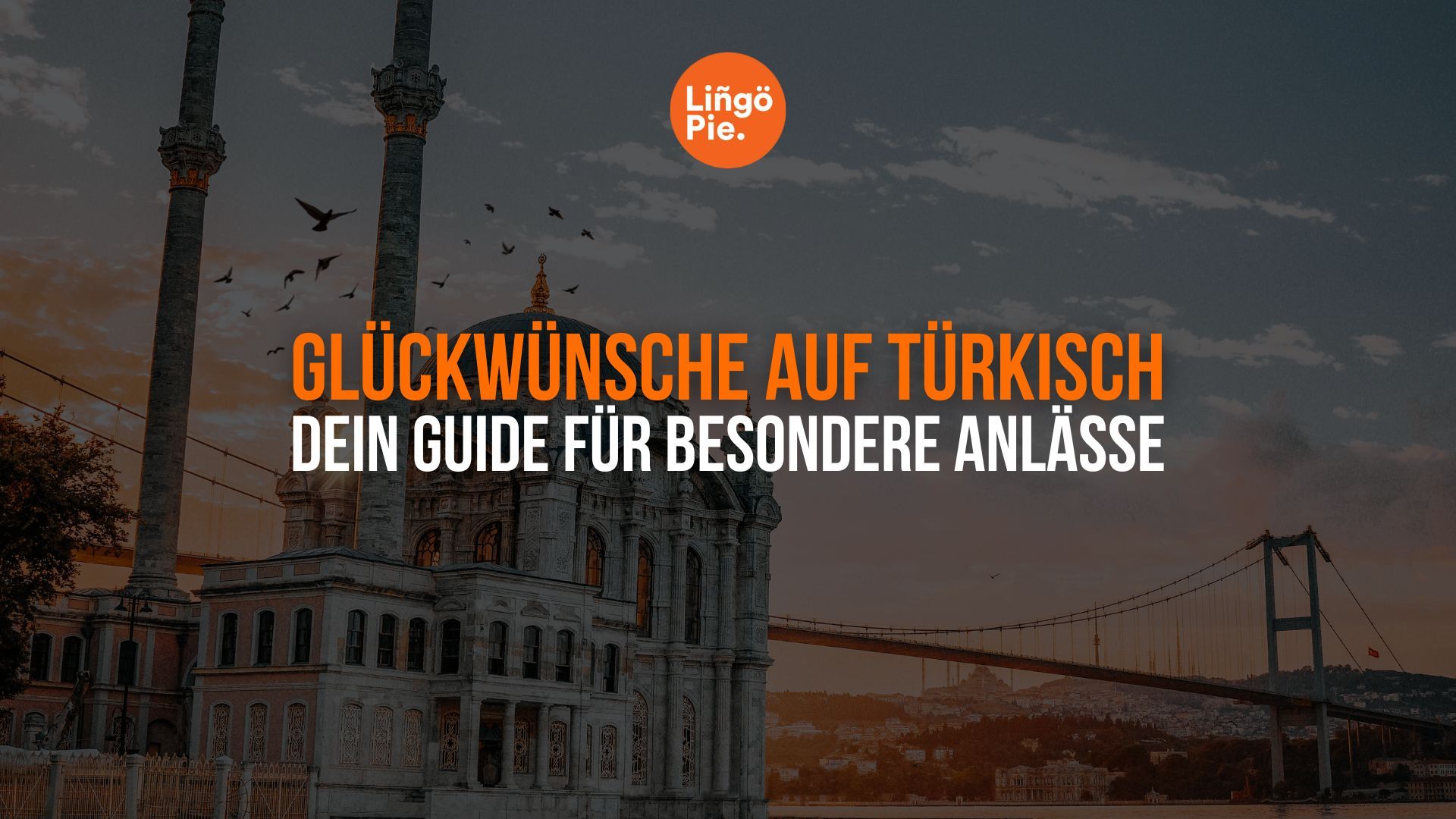 Herzliche Glückwünsche auf Türkisch: Dein Guide für besondere Anlässe