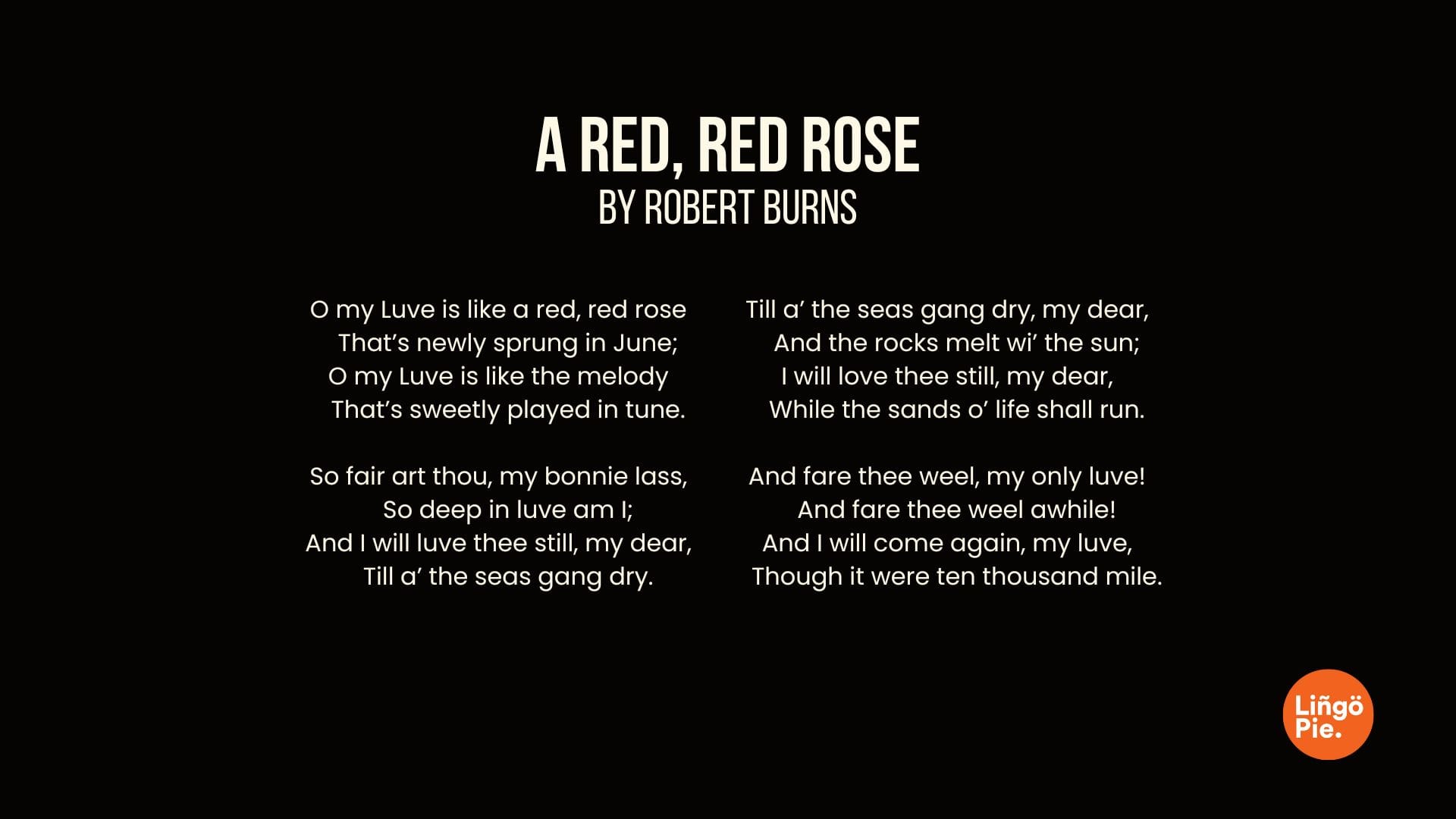 A Red, Red Rose