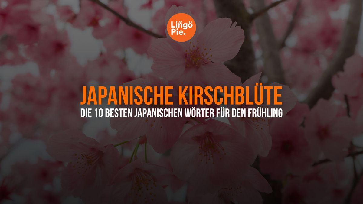 Japanische Kirschblüte